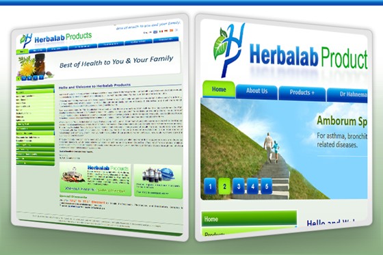 PLAVEB SMBs Division: Portfolio of PLAVEB Small Business Division